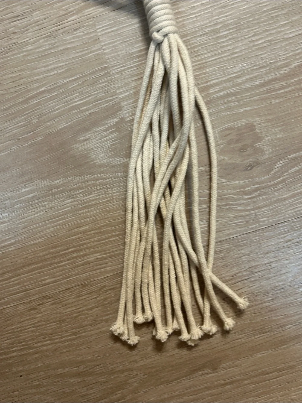 Altru NWT Macrame Braided Corded Rope Plant Hanger